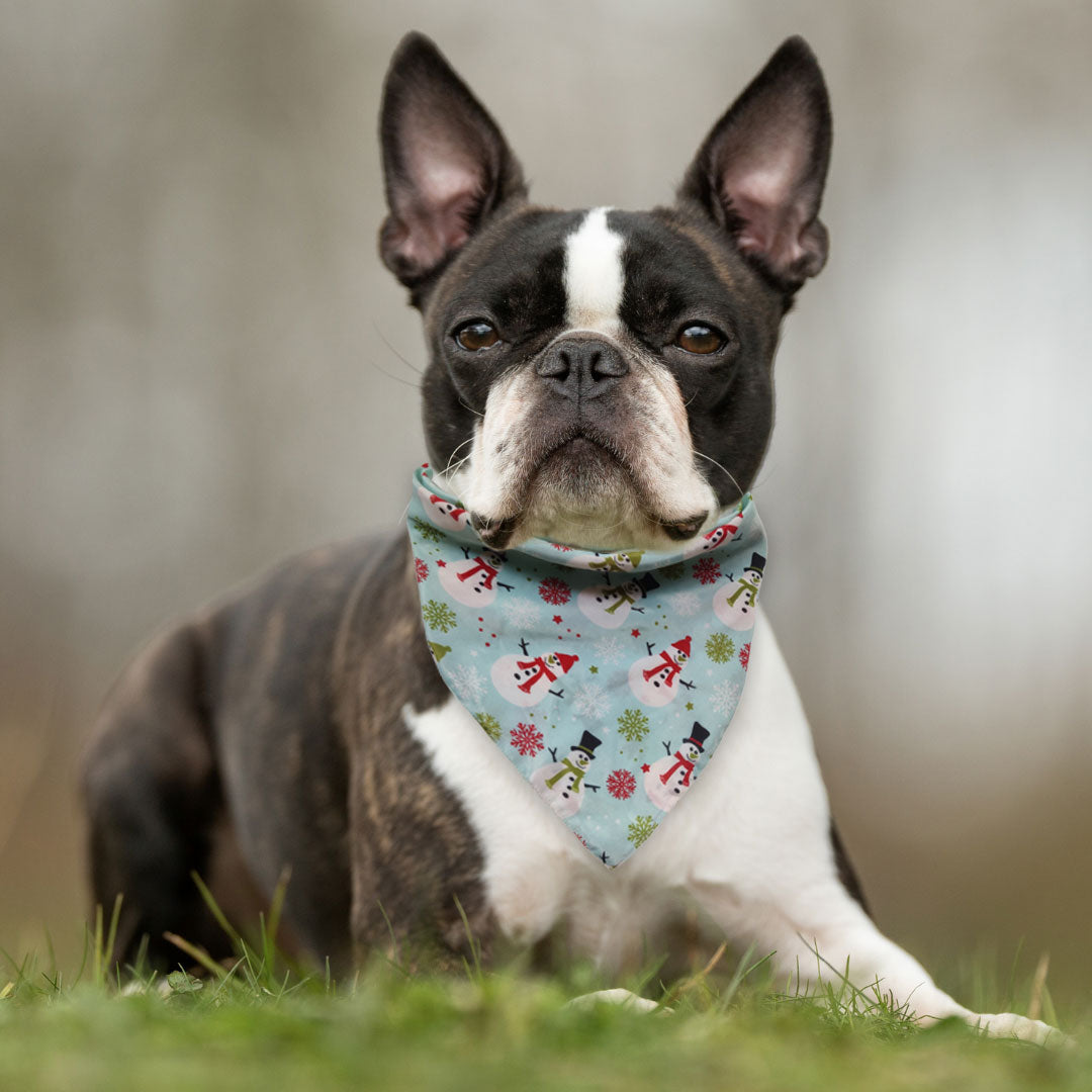 Mr. Snowman Bandana