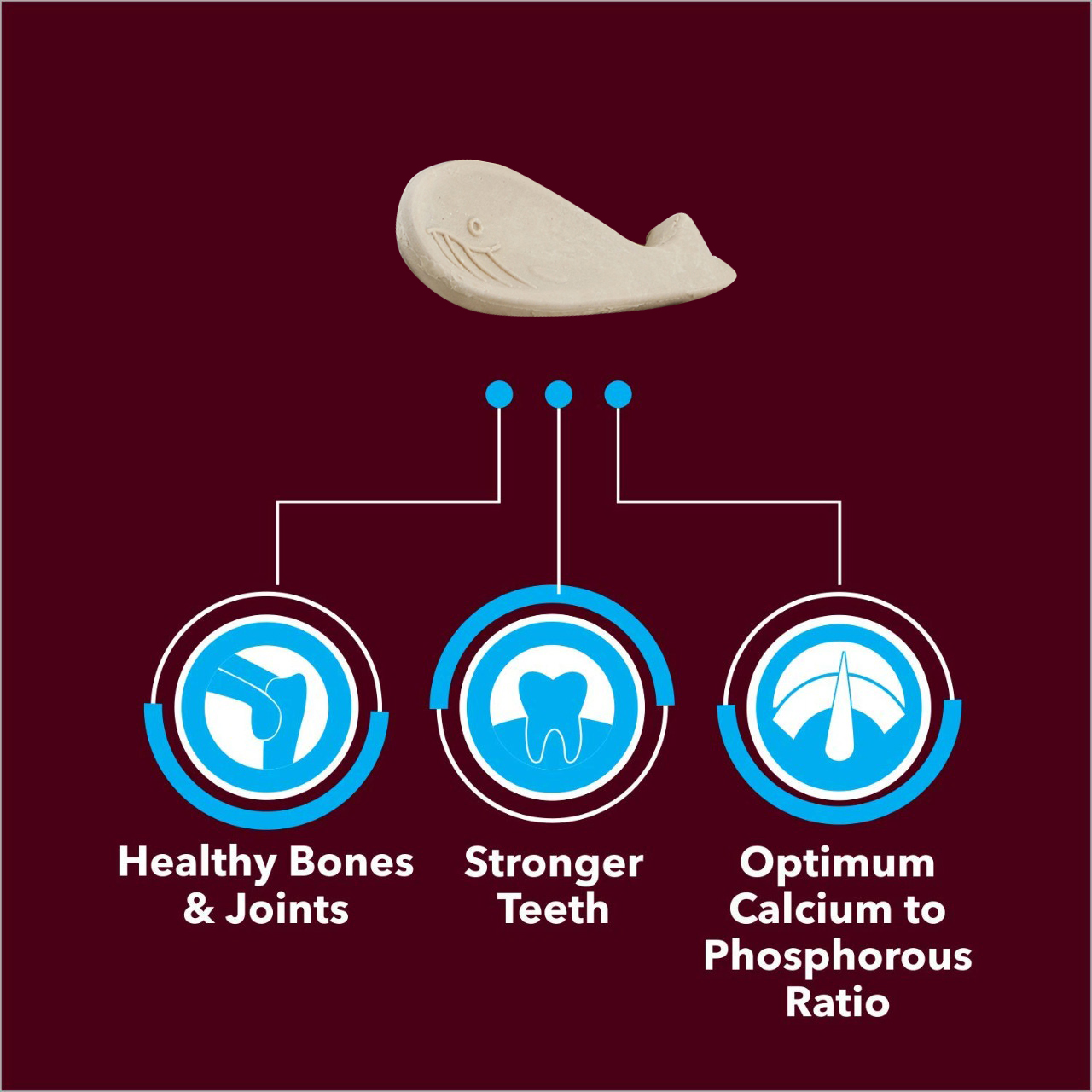 BASIL Calcium Bone Treat for Dogs & Puppies | 100 Grams