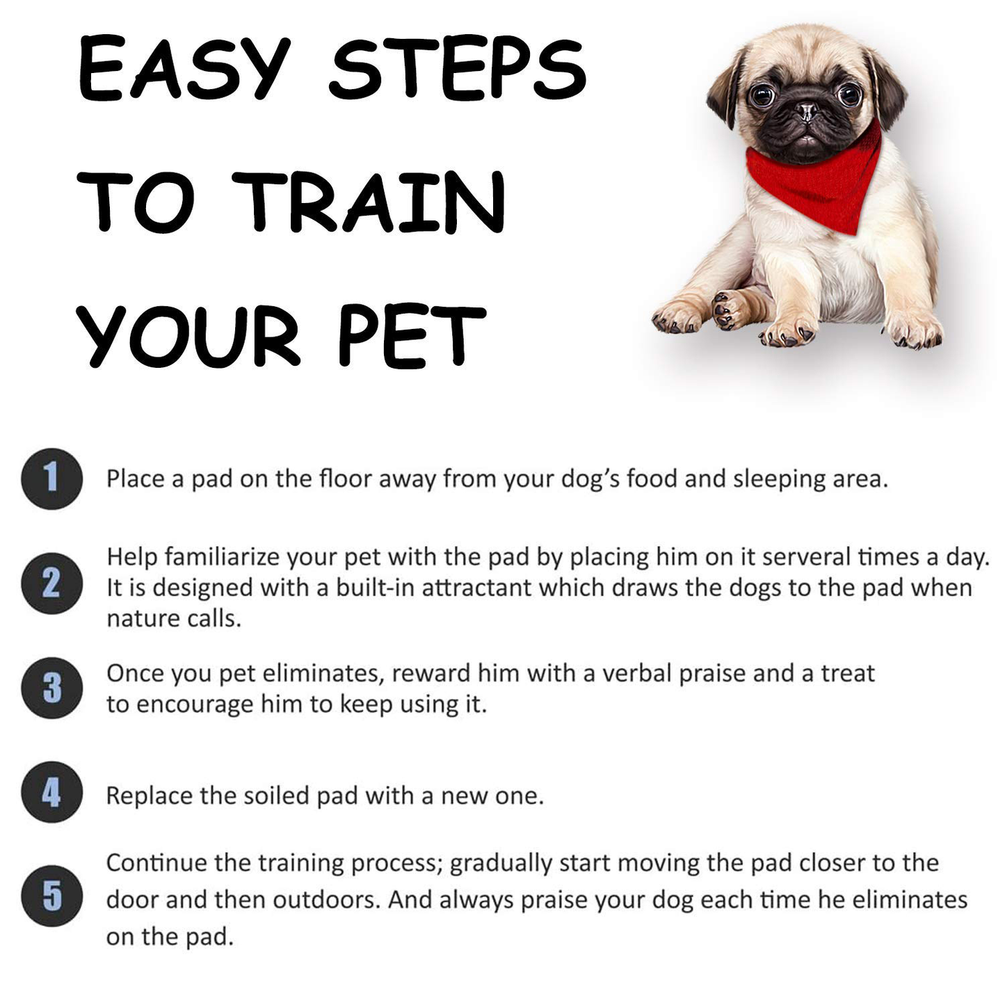 BASIL Pet Training Pee Pads with Activated Carbon to Absorb - Pack 25pcs (Size - 45*60cms)