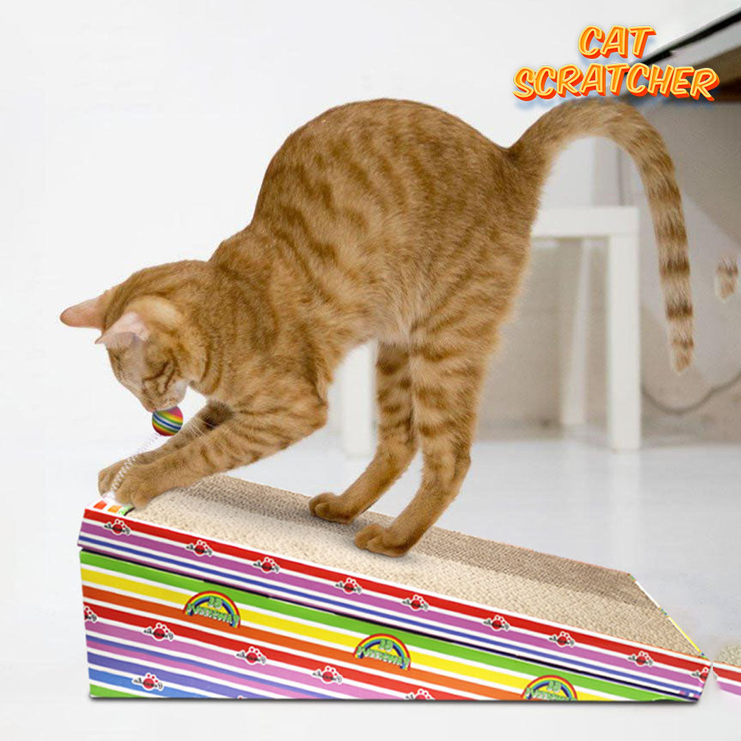 cat Scratcher toy