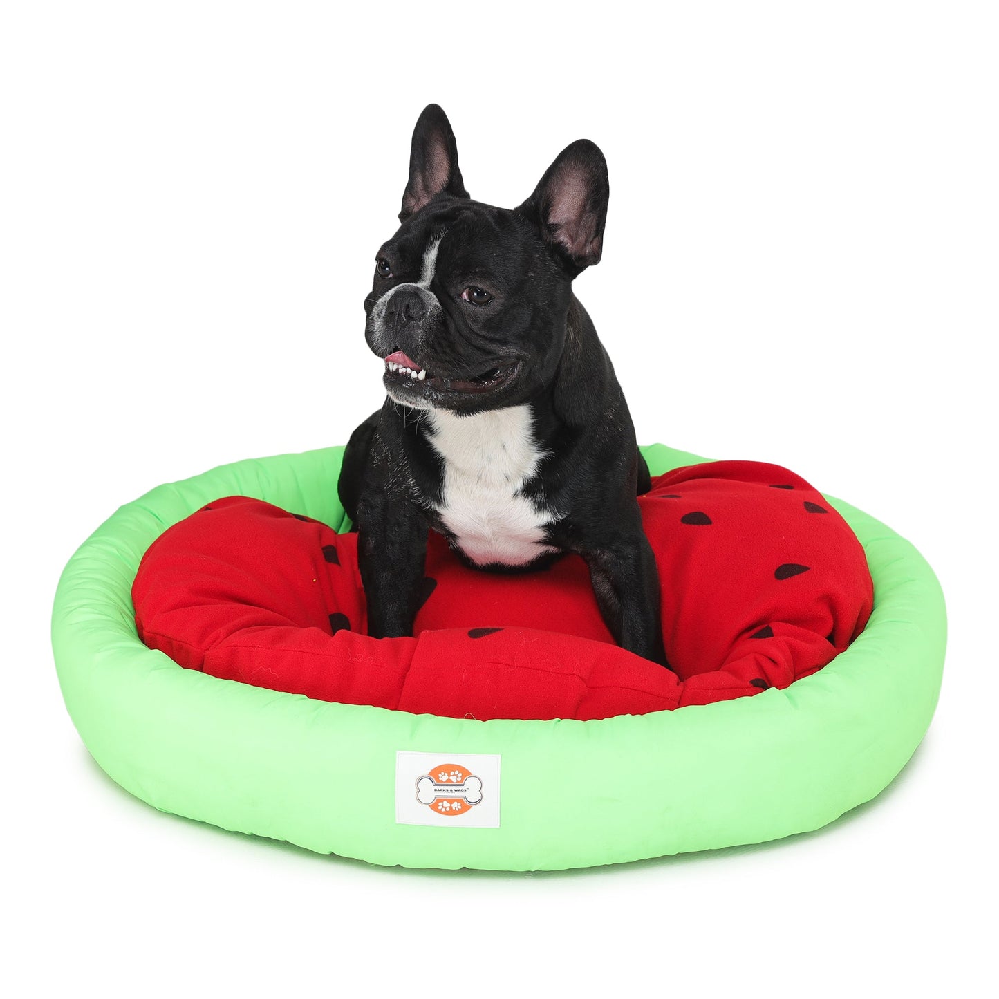 Watermelon Dog Bed