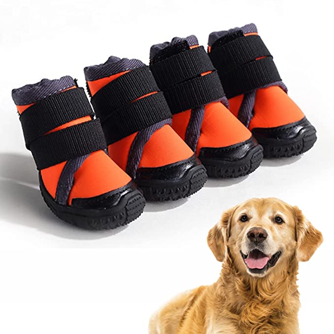 Dog Shoes - Orange