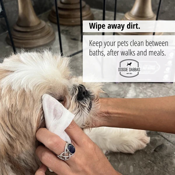 Pet Wet Wipes(30 Wipes)