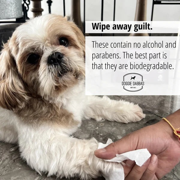 Pet Wet Wipes(30 Wipes)