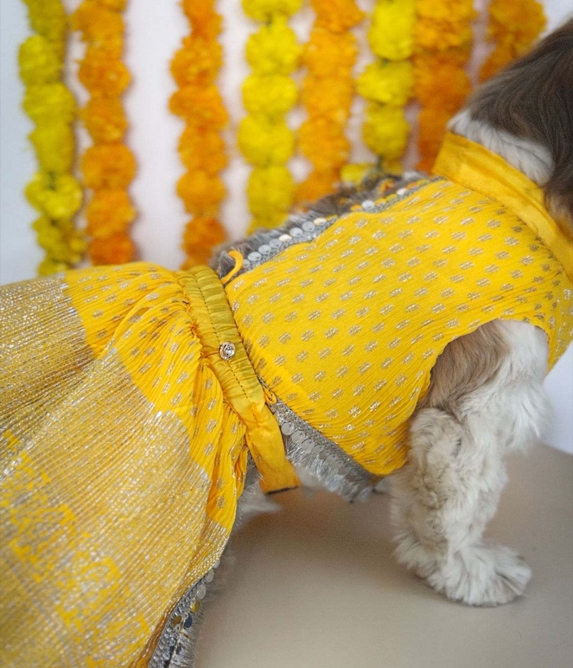 Pleaty Yellow Lehenga