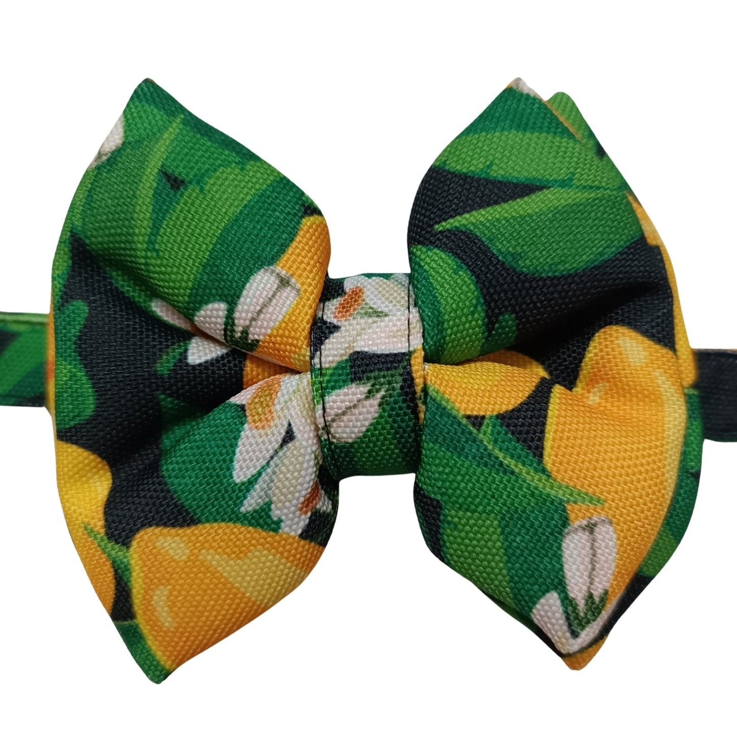 Green Amalfi Lemons Bow Tie | Snap-Buckle Closure