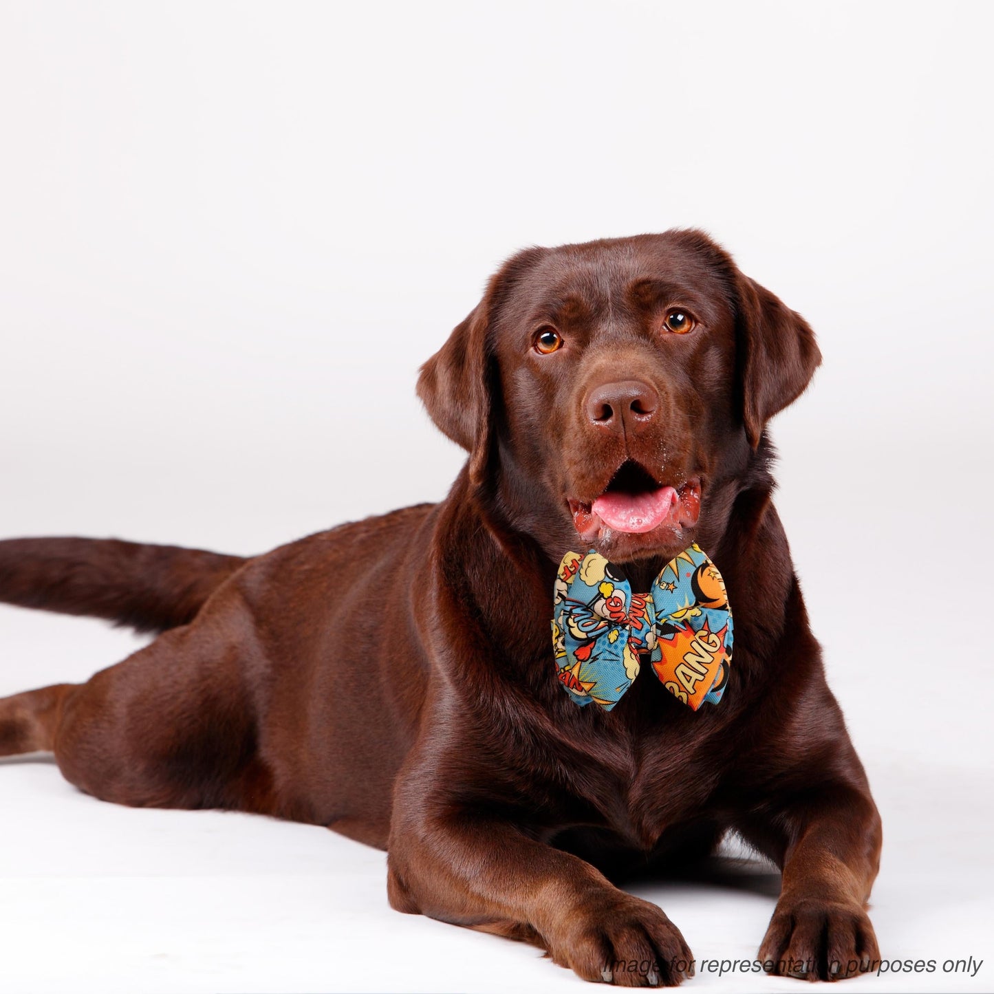 Blue Big Bang Boom Bow Tie | Snap-Buckle Closure | D-Ring Attachment