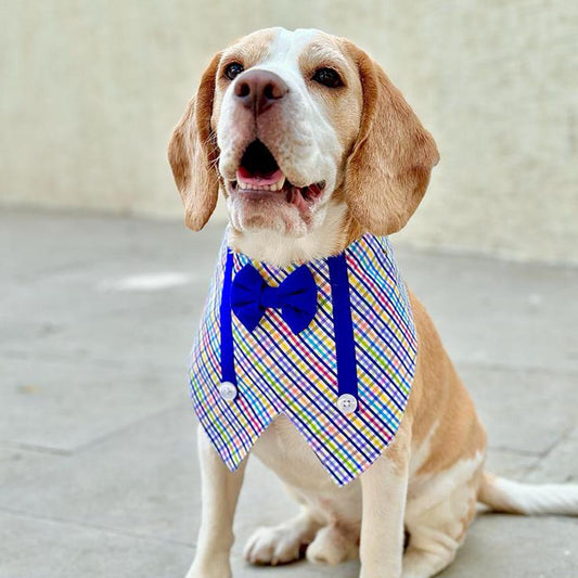 Blue Pin Tux Bandana