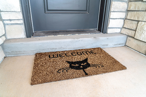 Cattitude Doormat