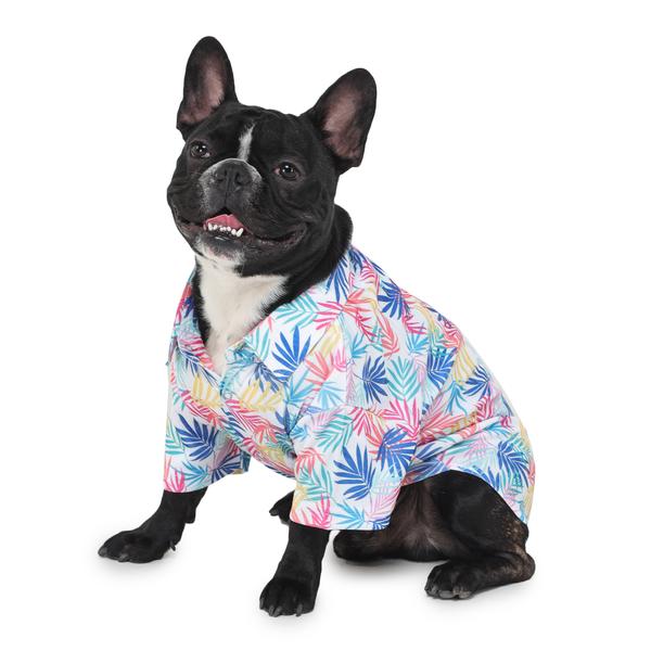 cute dog wearing colourful printed shirt designed by Barks & Wags