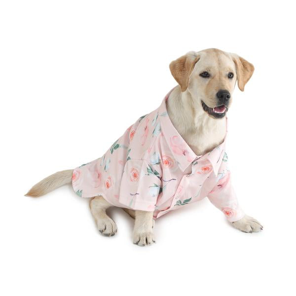 cute dog wearing pink printed shirt from Barks & Wags