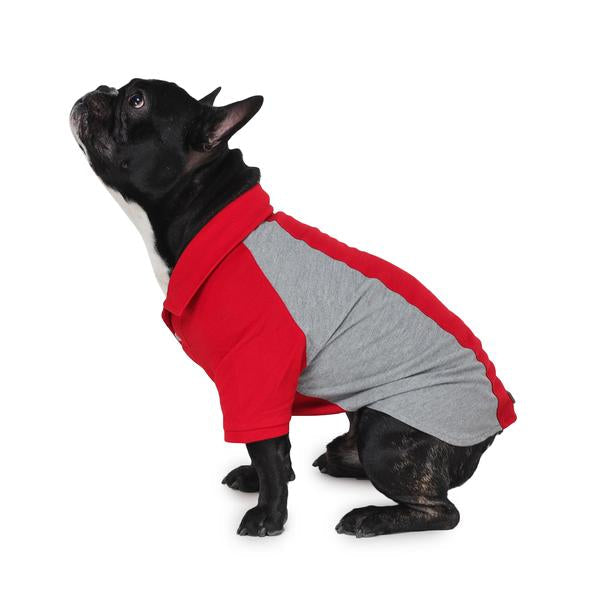 cute dog wearing red & grey polo t-shirt designed by Barks & Wags