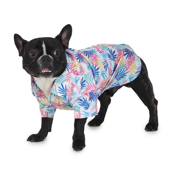 dog wearing printed colourful shirt by Barks & Wags