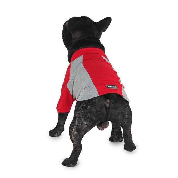 dog wearing red & grey polo t-shirt designed by Barks & Wags