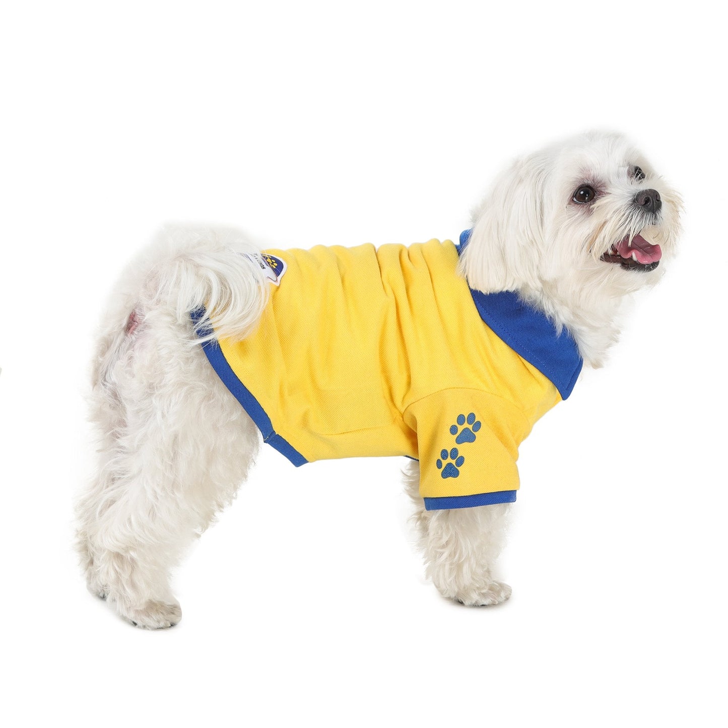 dog wearing yellow-coloured polo t-shirt from Barks & Wags