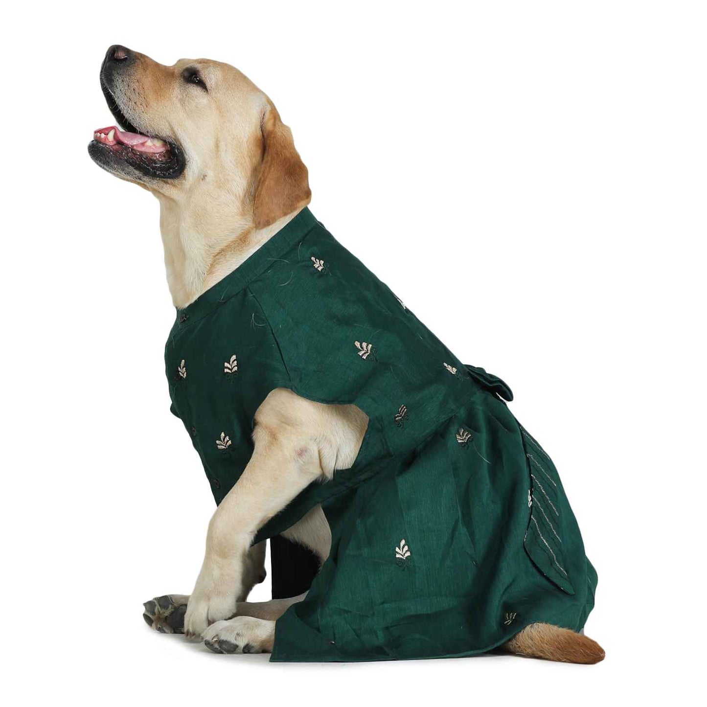 Dog Lehenga