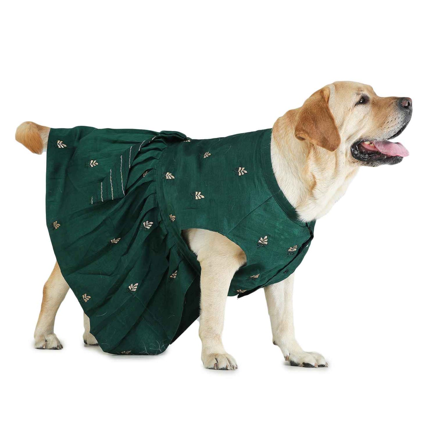 Dog Lehenga