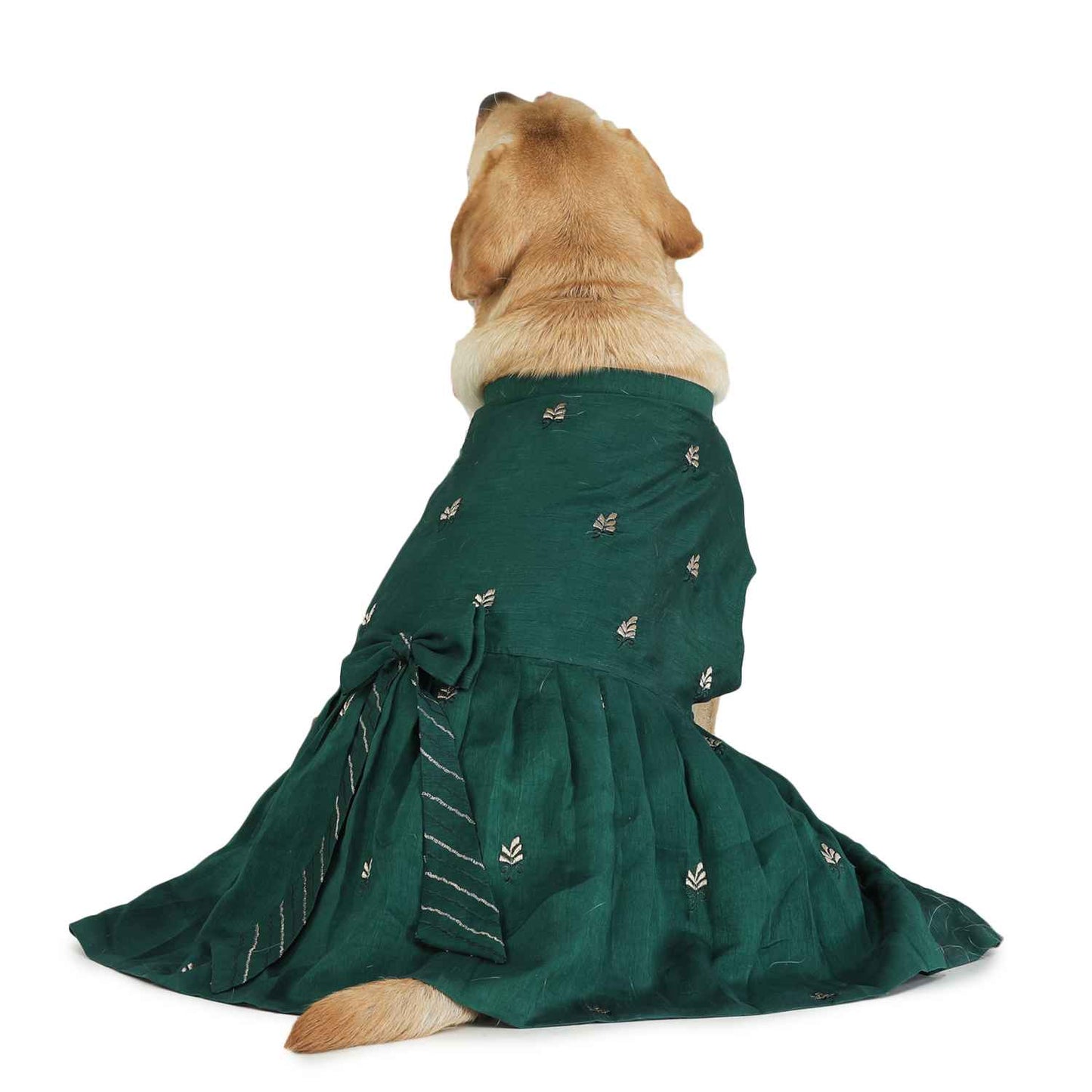 Dog Lehenga