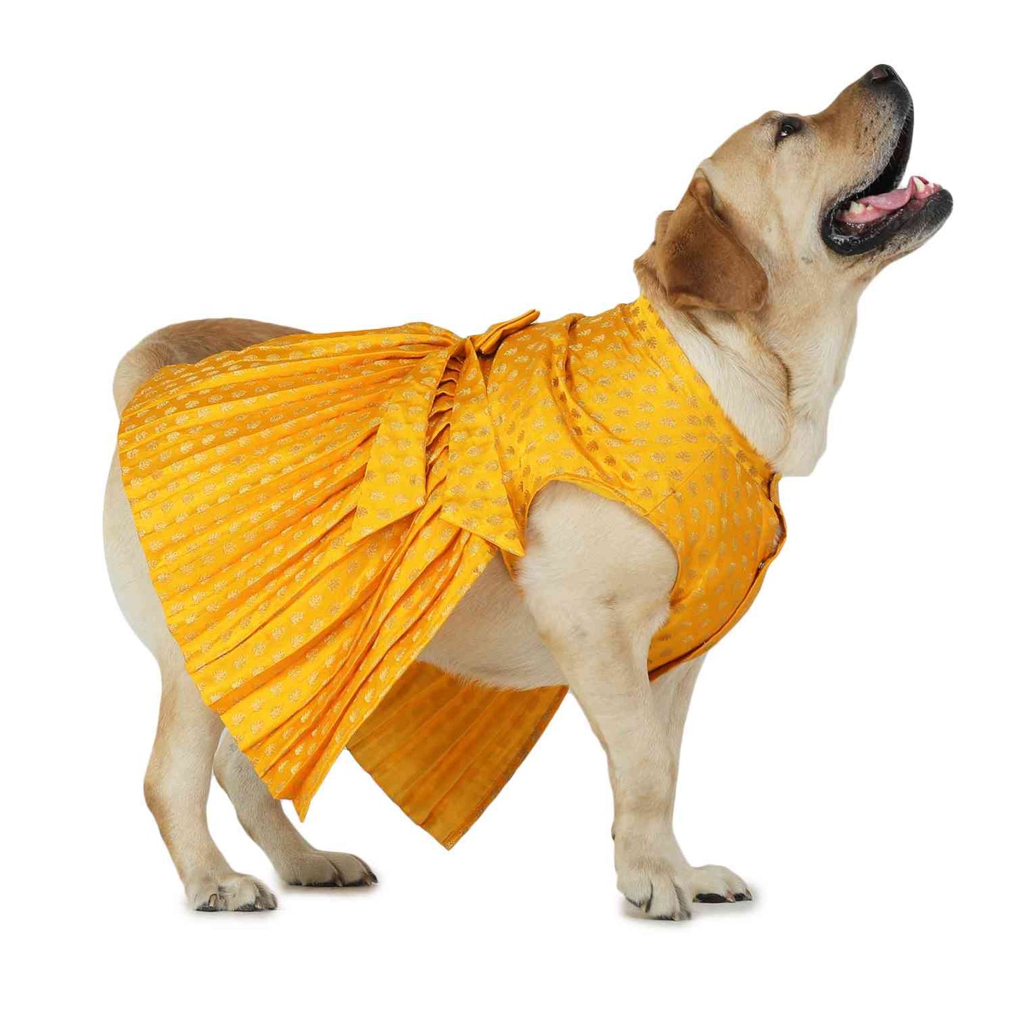 Dog Lehenga