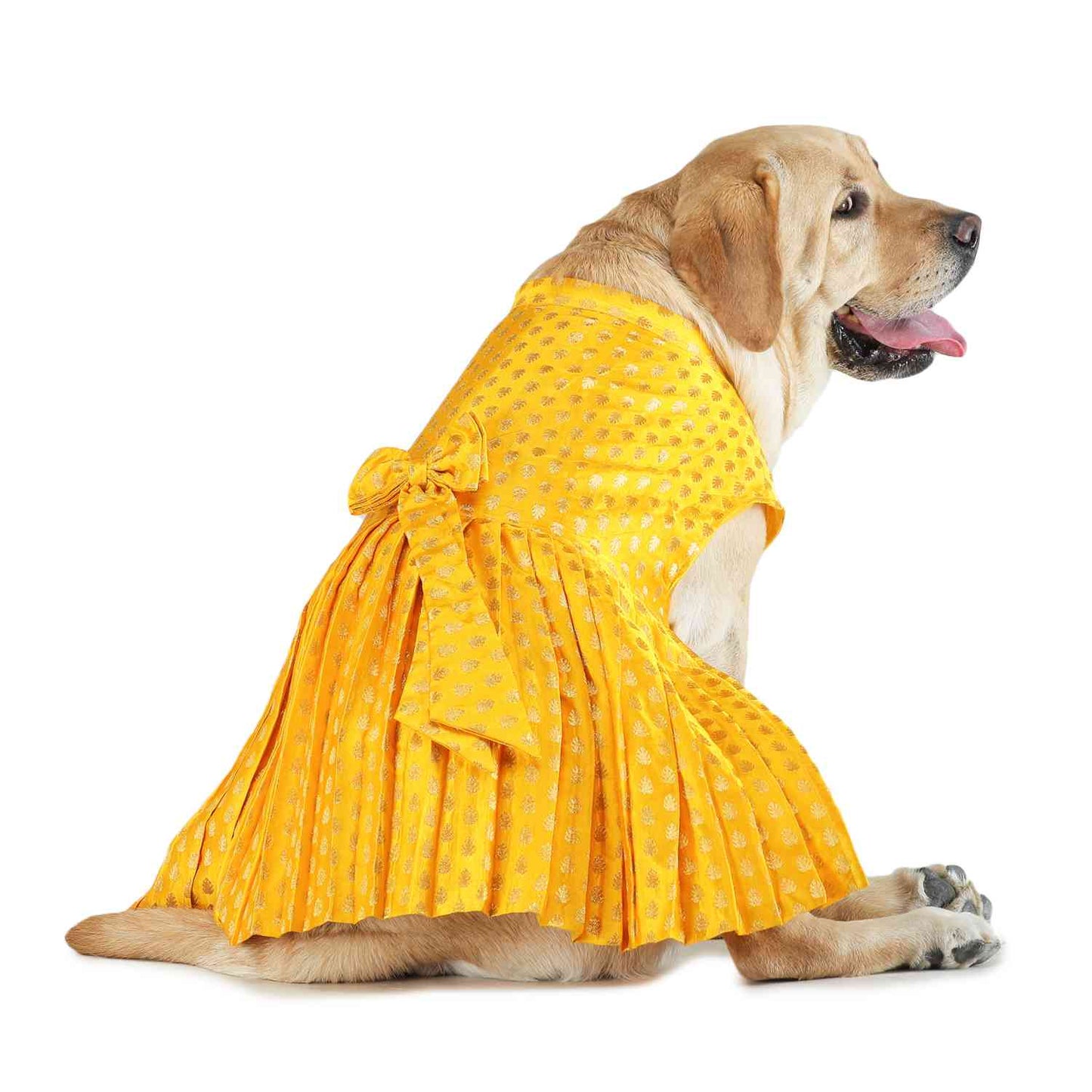 Dog Lehenga