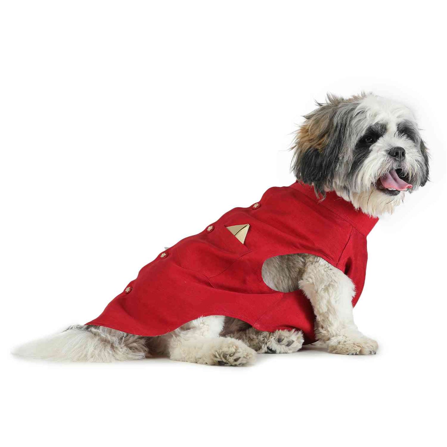 Dog Sherwani