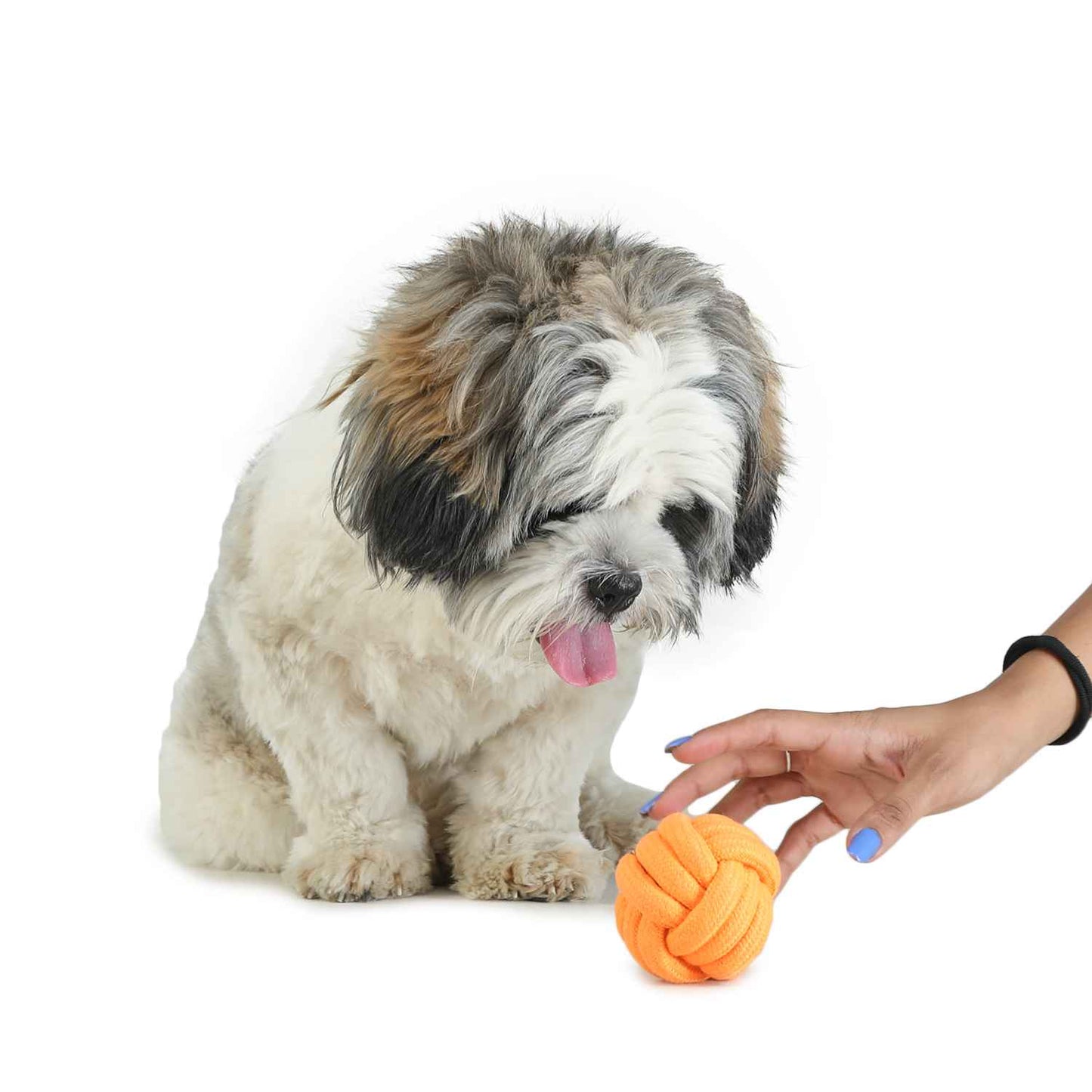 Dog Toy - Pet Teether Ball