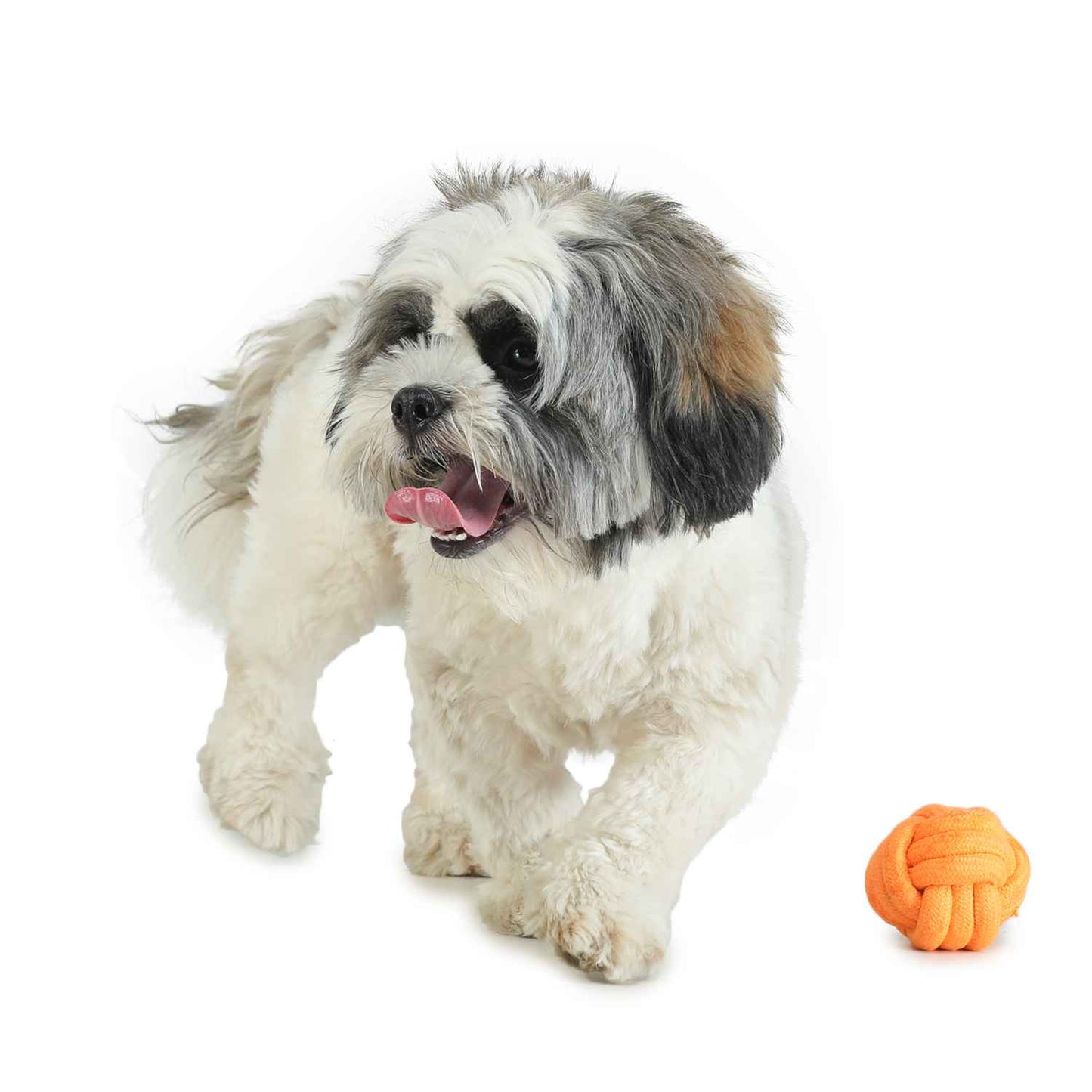 Dog Toy - Pet Teether Ball