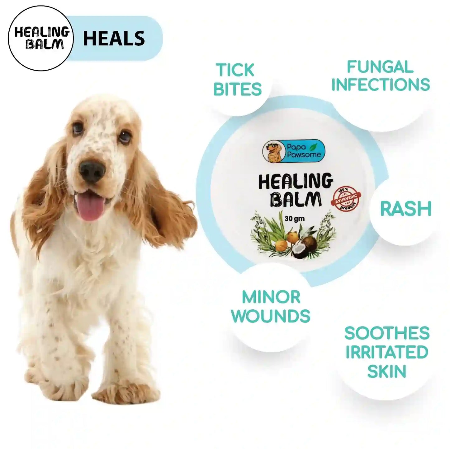 100% Natural Healing Balm for Dog, 30gms