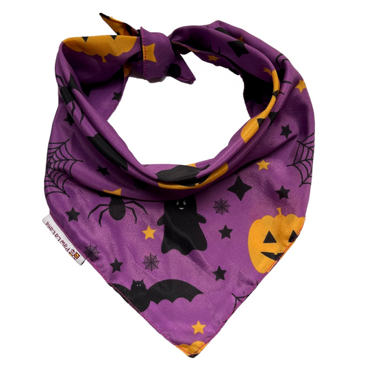 Halloween Pumpkin Bandana