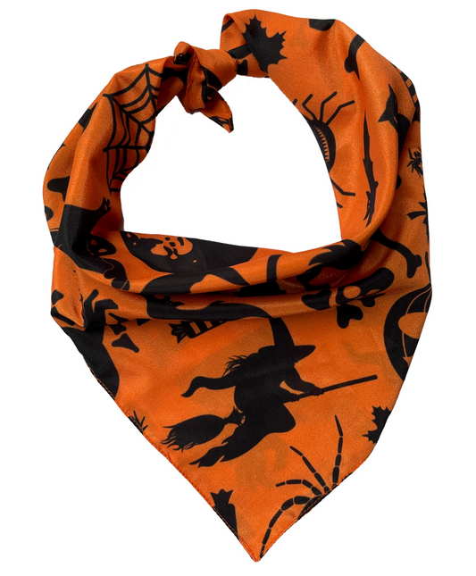 Halloween Witch Bandana