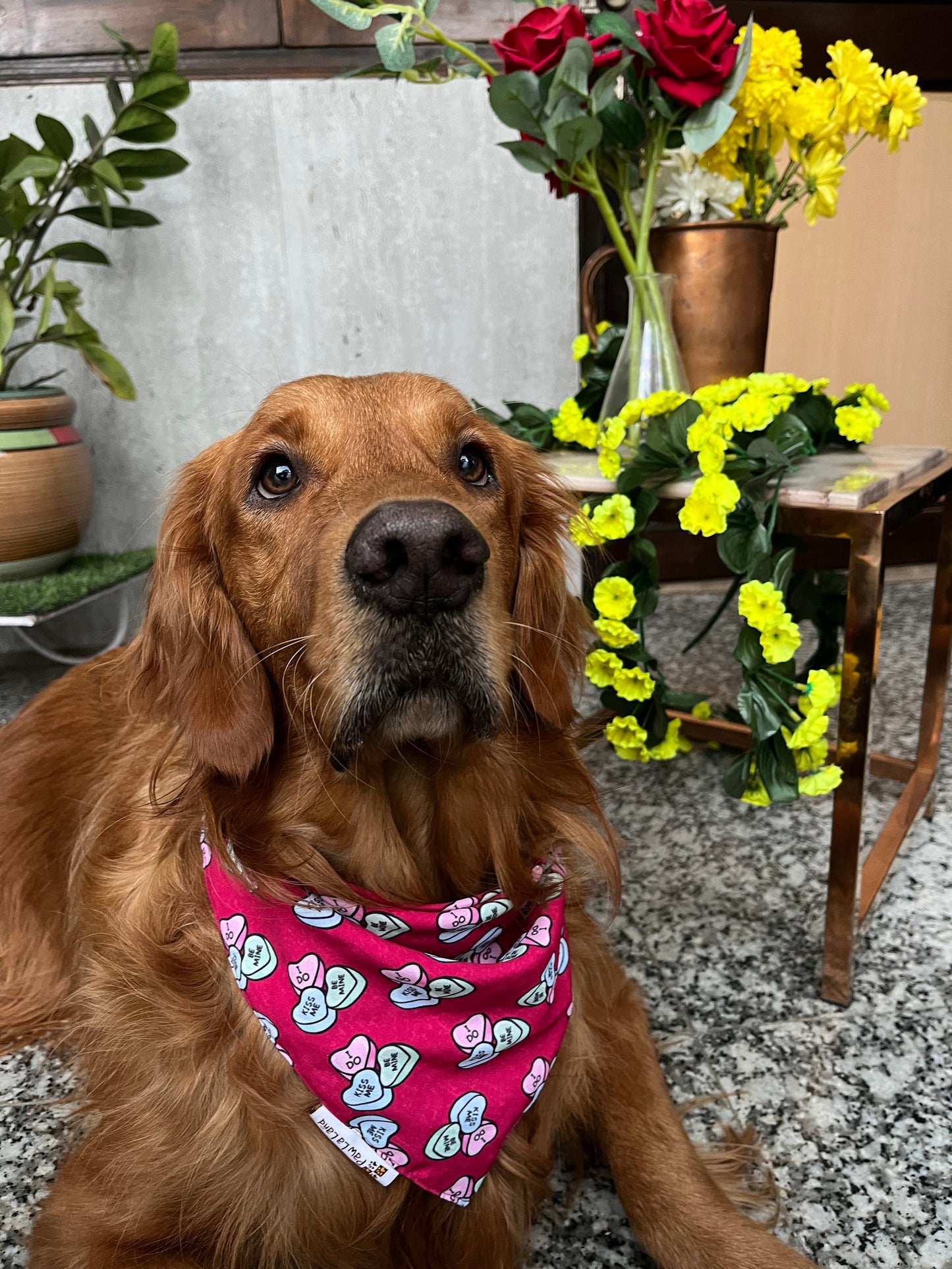 Conversation Heart Bandana