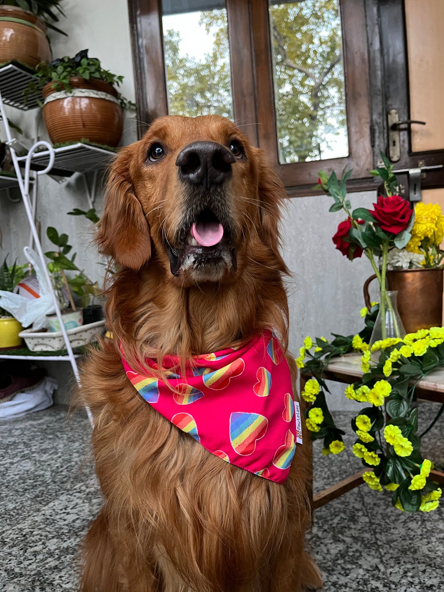 Pride Bandana