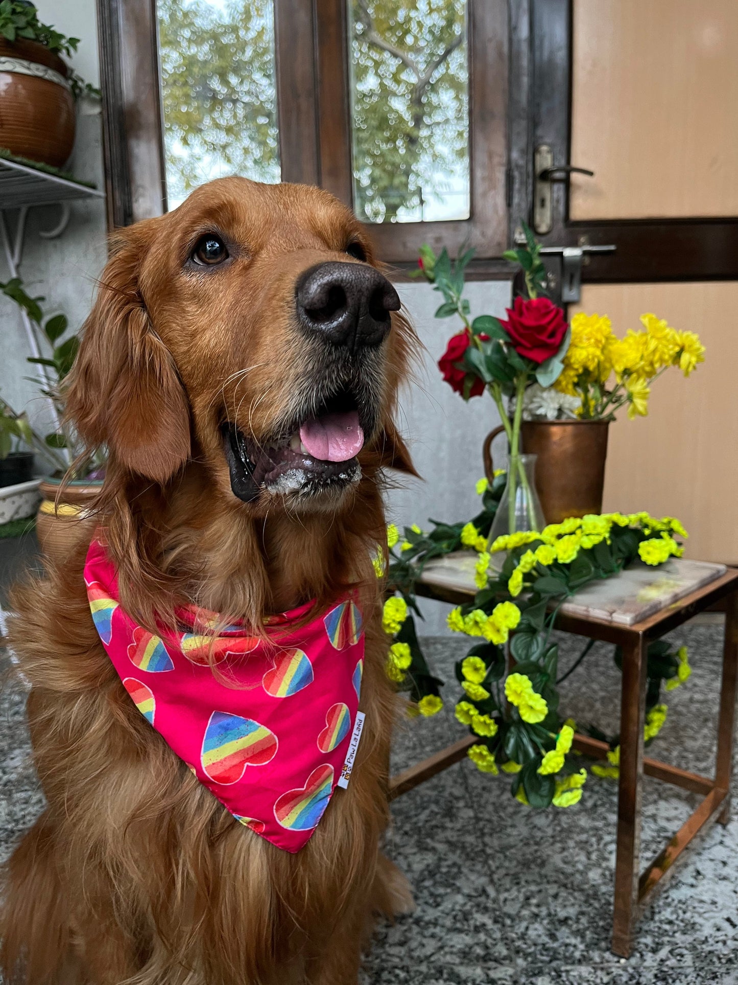 Pride Bandana