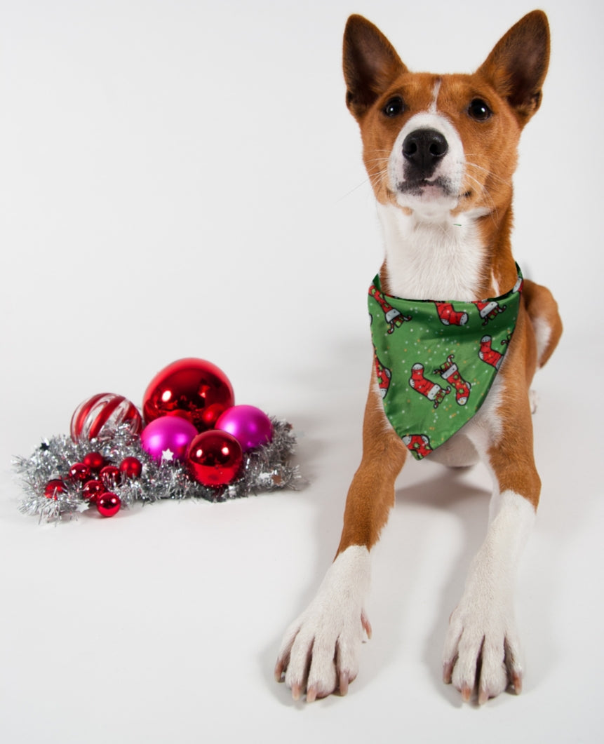 Christmas Stocking Bandana