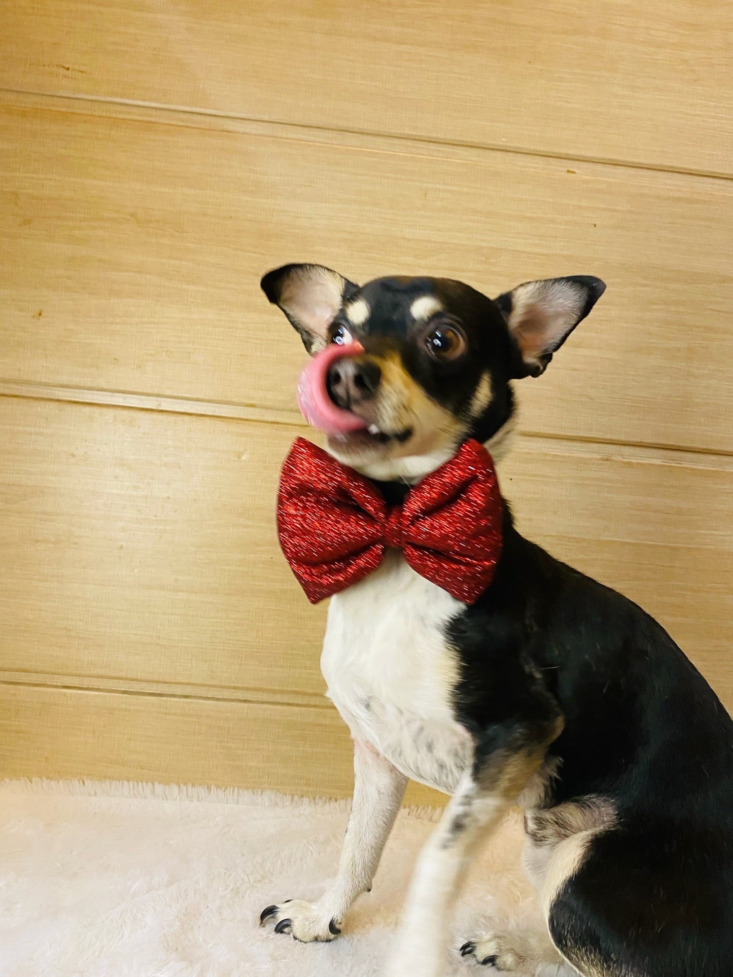 Party wear Bowtie: Red