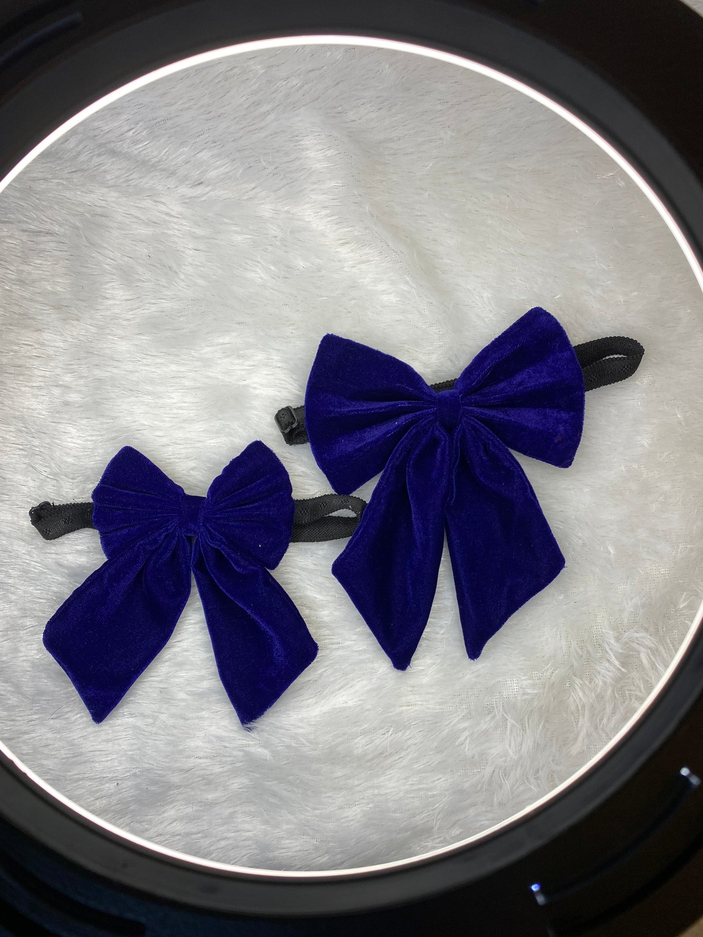 Pigtail Bowtie: Royal blue