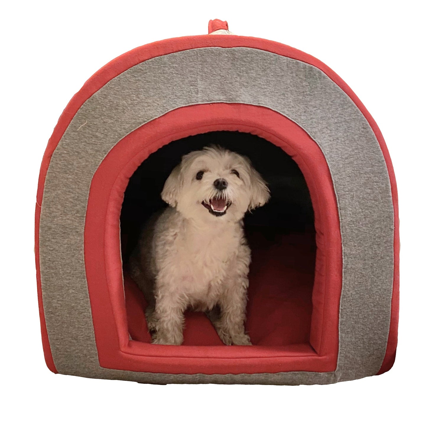 Dog Bed (Tent Shape)