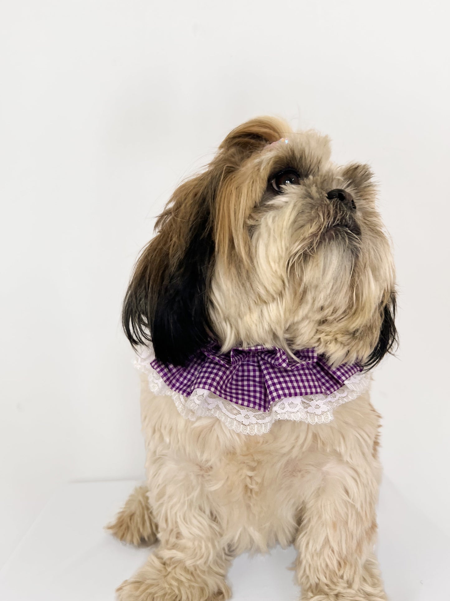 Frilly Bandana: Purple