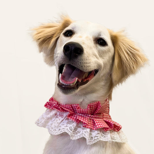 Frilly Bandana: Pink