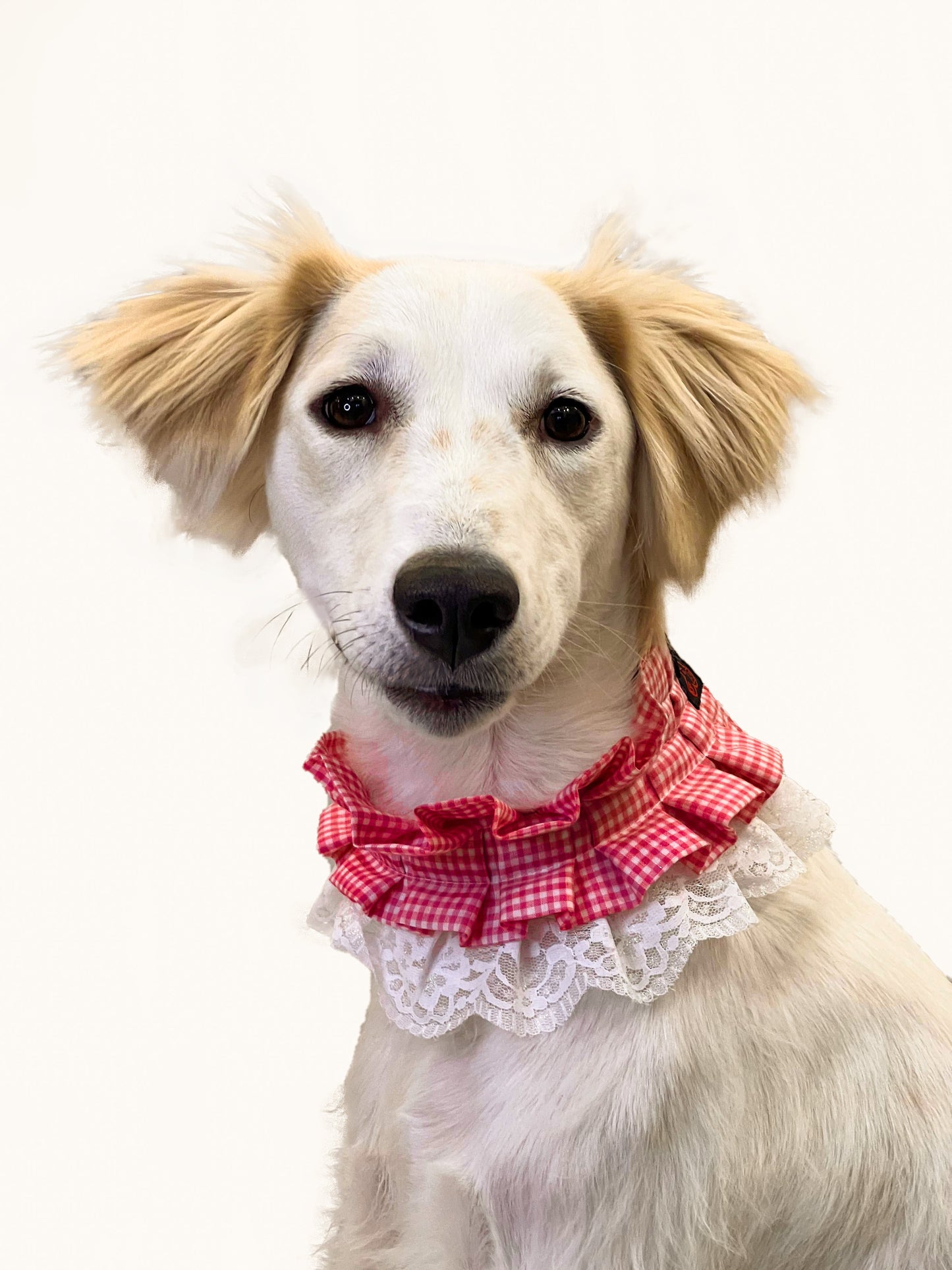 Frilly Bandana: Pink