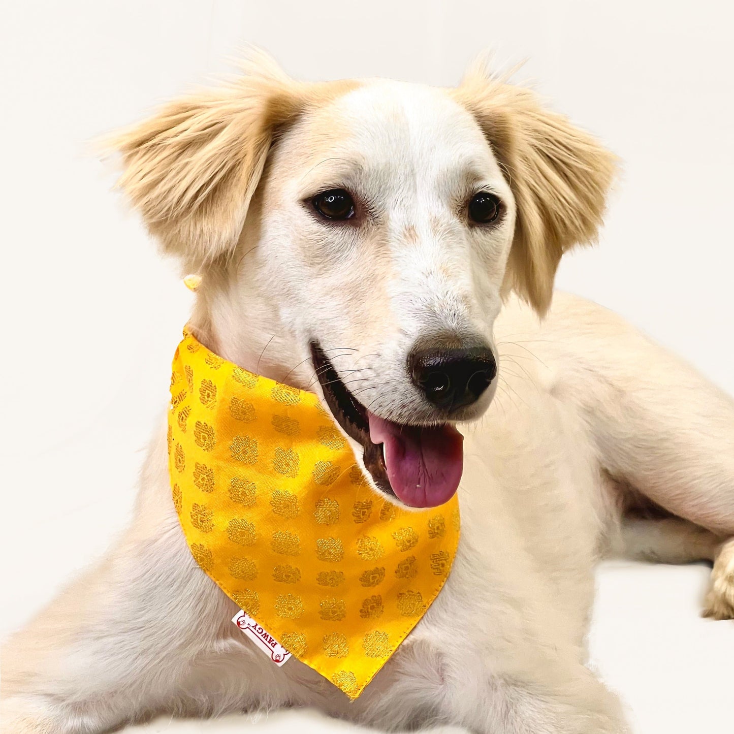 Occasion wear bandana Yellow