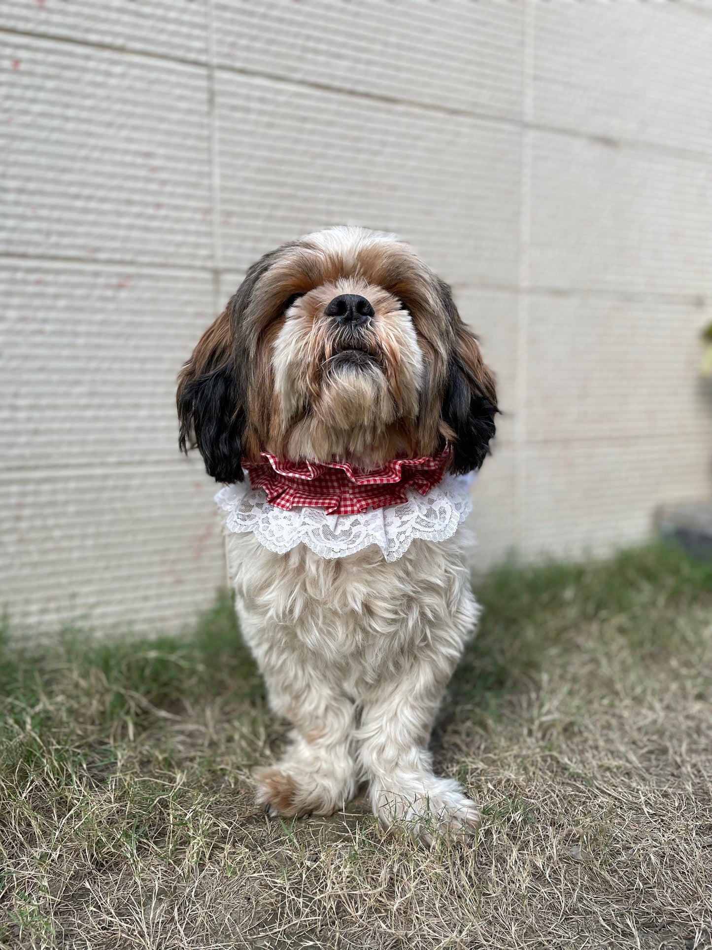 Frilly Bandana:Red