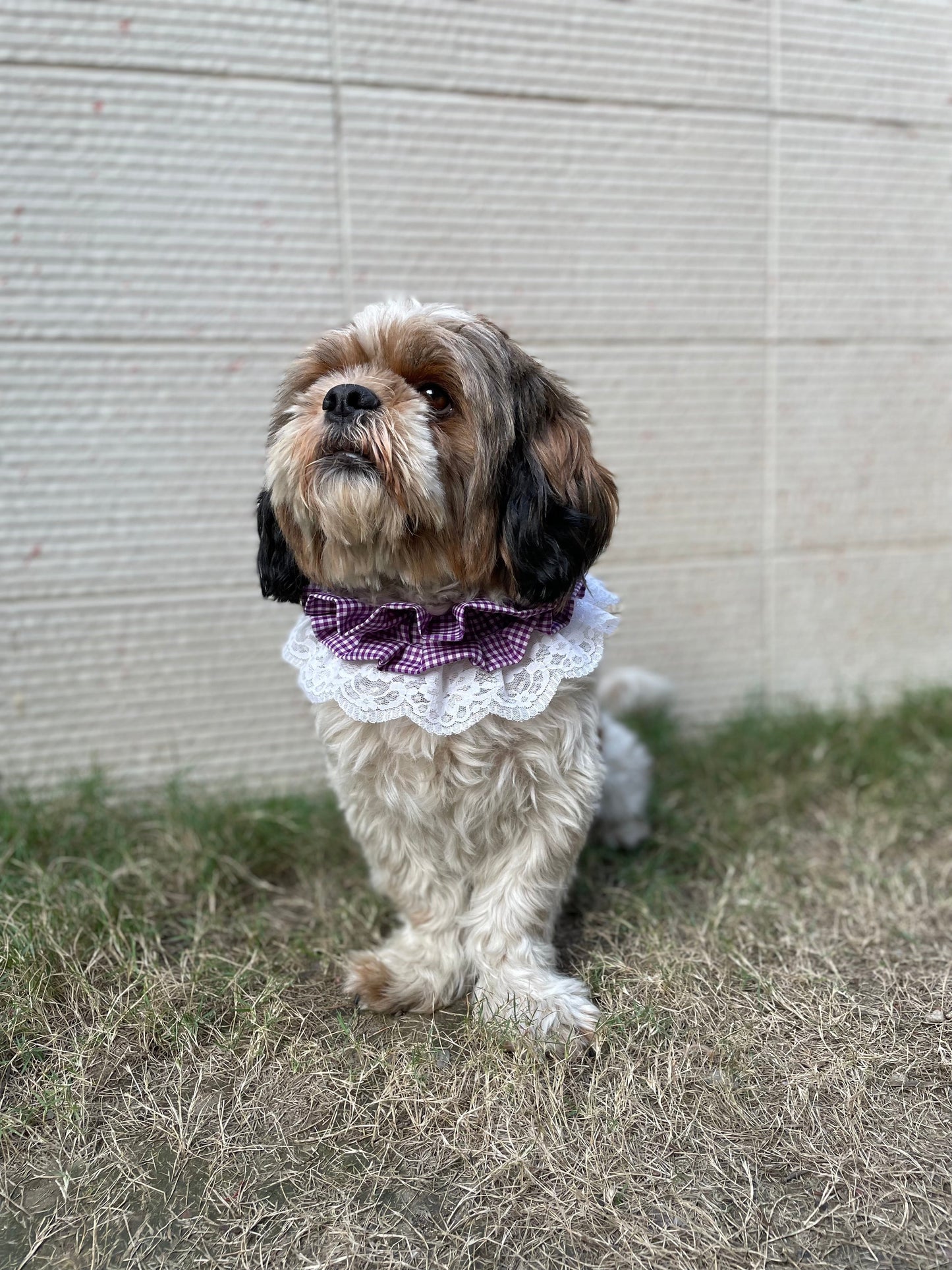 Frilly Bandana: Purple