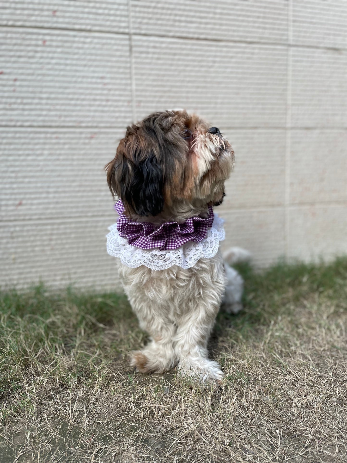 Frilly Bandana: Purple