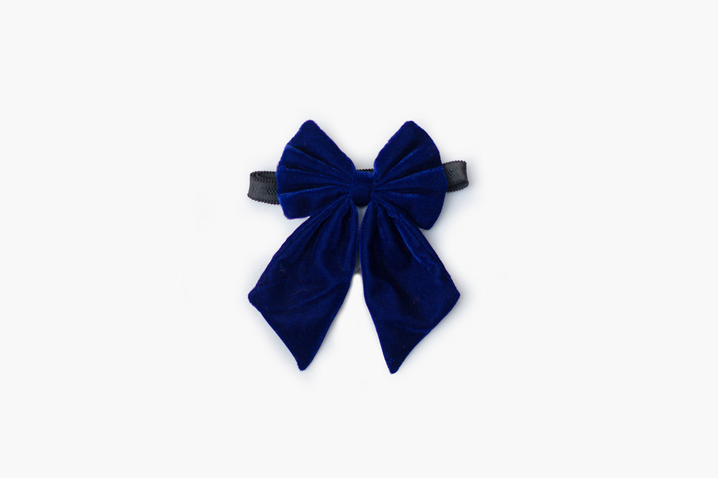 Pigtail Bowtie: Royal blue