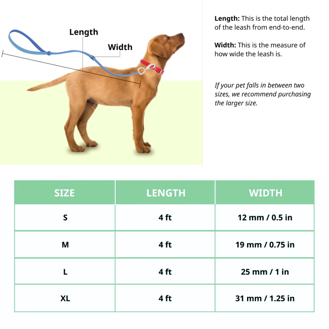 BASIL Shock Absorbing Stretch Leash for Dogs