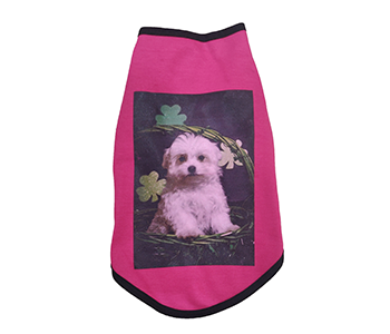 Dog Tshirt Maltese 2