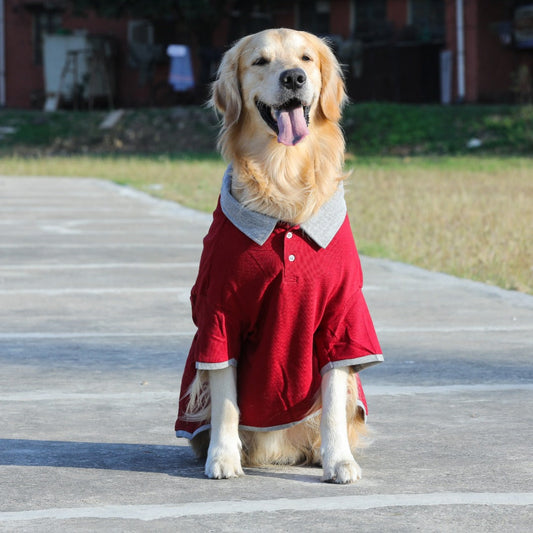 Polo Dog Tshirt (Maroon & Grey)