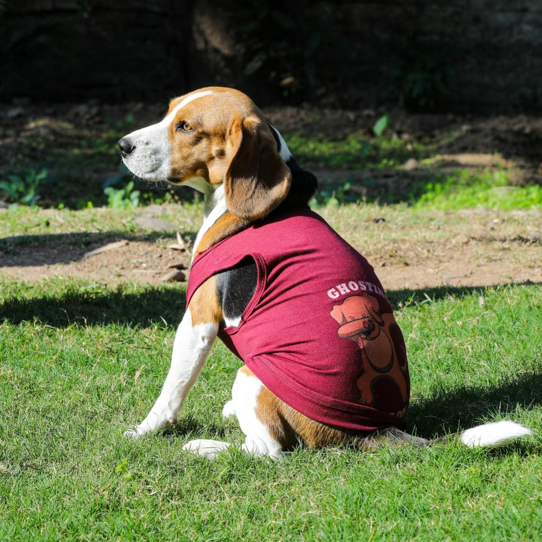 Dog Tshirt (Printed Tanks - Ghosting Mode)