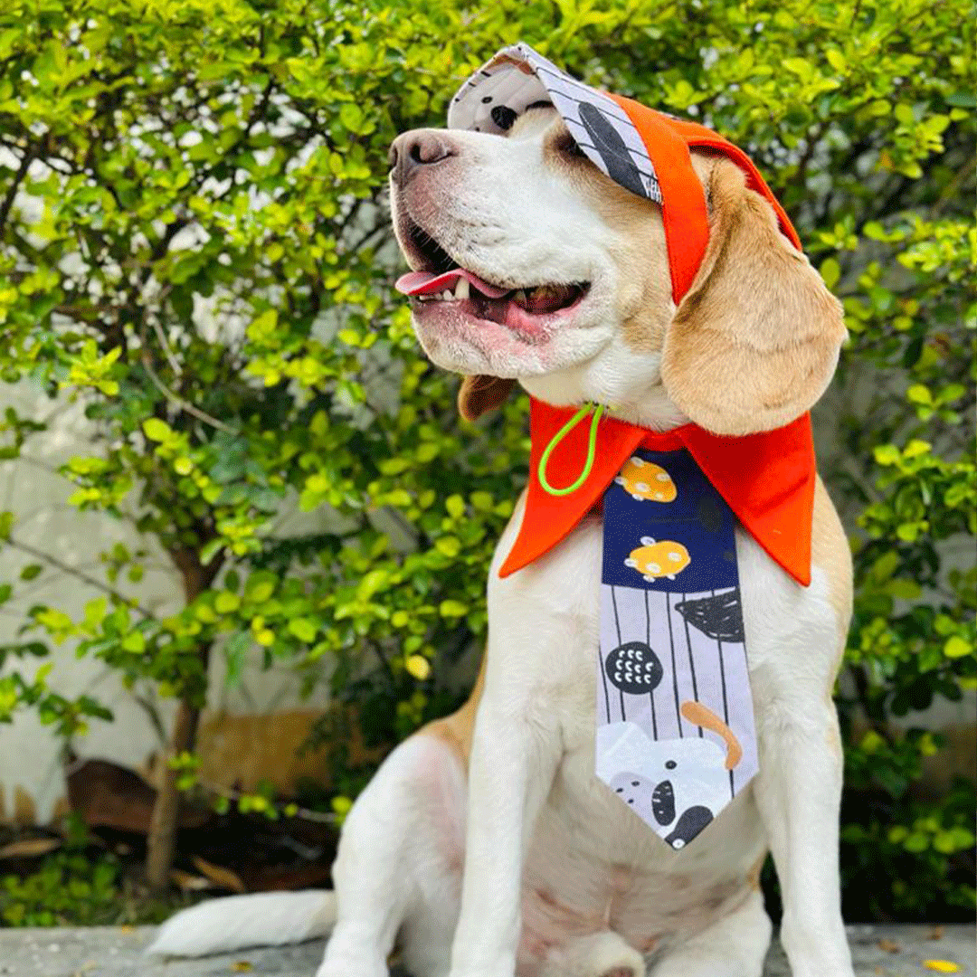 Orange Printed Neck Tie & Baseball Cap Combo